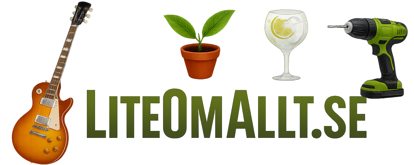 LiteOmAllt.se